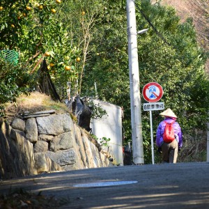 歩き遍路