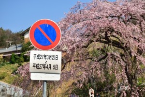 駐車禁止看板2