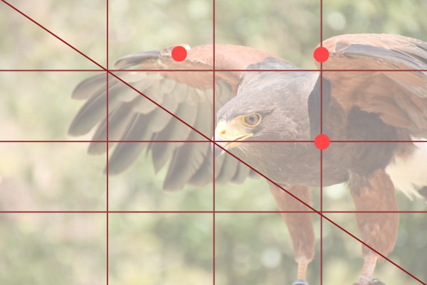 日の丸構図からの卒業 一瞬でプロっぽく見える写真の撮り方とコツでアイツに差をつける Mysimasima