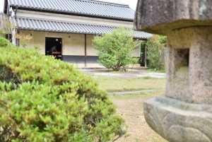 五風十雨の庭から眺める