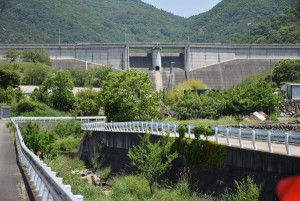 田んぼと粟地ダム