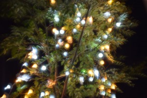 クリスマス　イルミネーション　LED