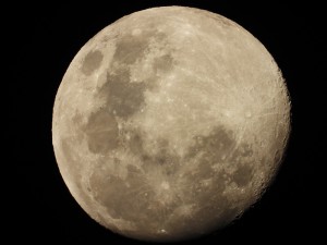 月撮影　Nikon　クールピクス