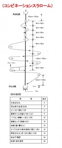 コンビスラローム