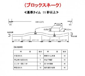 ブロックスネーク